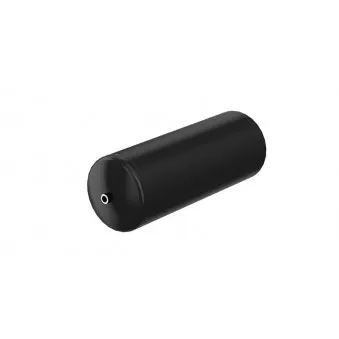 Réservoir d'air, système d'air comprimé WABCO 9506300050