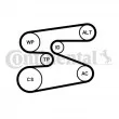 CONTITECH 6PK1698WP1 - Pompe à eau+Jeu de courroie trapézoïdale à nervures