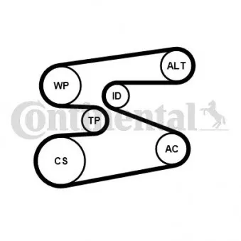 Pompe à eau+Jeu de courroie trapézoïdale à nervures CONTITECH 6PK1698WP1 pour BMW Série 3 320 d xDrive - 163cv