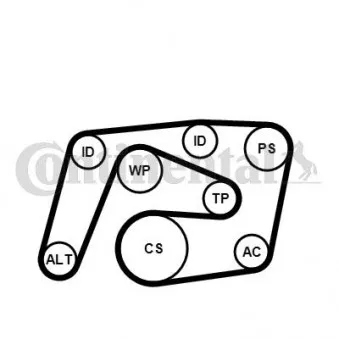 Pompe à eau+Jeu de courroie trapézoïdale à nervures CONTITECH 6PK2260WP2