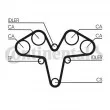 CONTITECH CT1119K1 - Kit de distribution