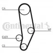 CONTITECH CT704WP1 - Pompe à eau + kit de courroie de distribution