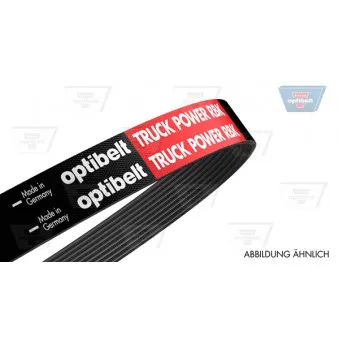 OPTIBELT 10 PK 1155 TM - Courroie trapézoïdale à nervures