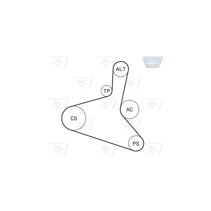 Jeu de courroies trapézoïdales à nervures OPTIBELT 6 DPK 1195KT1 - Visuel 2