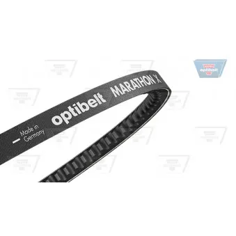 OPTIBELT AVX 10 x 1575 - Courroie trapézoïdale