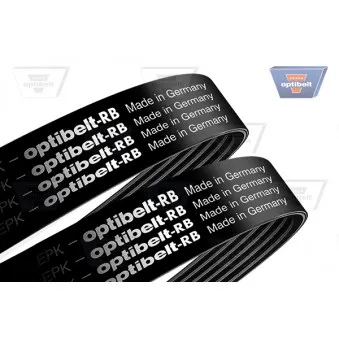 OPTIBELT KEPK 1001 - Jeu de courroies trapézoïdales à nervures