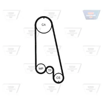 OPTIBELT KT 1002 W3 - Pompe à eau + kit de courroie de distribution