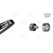 OPTIBELT KT 1111 - Kit de distribution