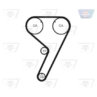 OPTIBELT KT 1151 - Kit de distribution