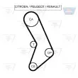 OPTIBELT KT 1188 - Kit de distribution
