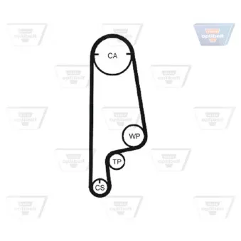 OPTIBELT KT 1212 - Kit de distribution