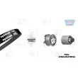 Pompe à eau + kit de courroie de distribution OPTIBELT [KT 1237 W5]
