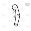 OPTIBELT KT 1237 W5 - Pompe à eau + kit de courroie de distribution