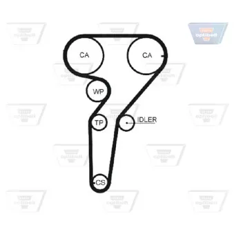 OPTIBELT KT 1294 - Kit de distribution