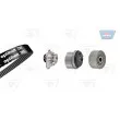 OPTIBELT KT 1405 W1 - Pompe à eau + kit de courroie de distribution