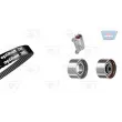 Kit de distribution OPTIBELT [KT 1503]