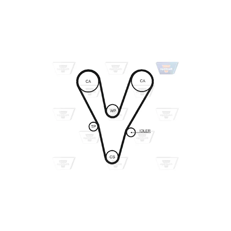 Pompe à eau + kit de courroie de distribution OPTIBELT KT 1506 W1 - Visuel 2