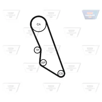 OPTIBELT KT 1522 W1 - Pompe à eau + kit de courroie de distribution