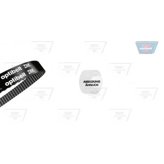 OPTIBELT KT 1639 - Kit de distribution