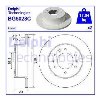 Jeu de 2 disques de frein arrière DELPHI BG5028C pour HYUNDAI H350 2.5 CRDI - 170cv