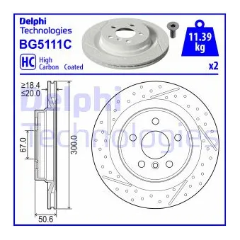 DELPHI BG5111C - Jeu de 2 disques de frein arrière