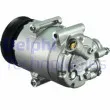 DELPHI CS20348 - Compresseur, climatisation