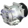 DELPHI CS20352 - Compresseur, climatisation