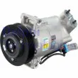 DELPHI CS20382 - Compresseur, climatisation