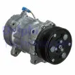 DELPHI TSP0159060 - Compresseur, climatisation