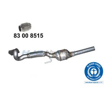 Catalyseur HJS [96 11 3079]