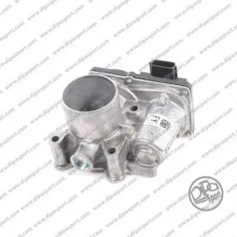 Corps papillon DIPASPORT [FLAI354N]