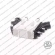 Intercooler, échangeur DIPASPORT [KLR015MHLN]