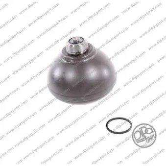 DIPASPORT SSB012N - Accumulateur de pression, suspension/amortissement