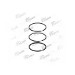 Jeu de segments de pistons VADEN ORIGINAL [851 200]