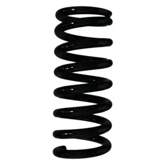 Ressort de suspension SPIDAN 55845