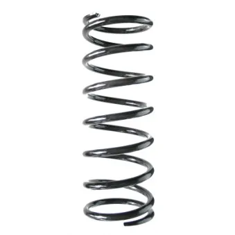 SPIDAN 56230 - Ressort de suspension
