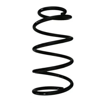 Ressort de suspension SPIDAN OEM 546301G300