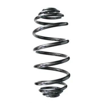 Ressort de suspension SPIDAN OEM 8200754873