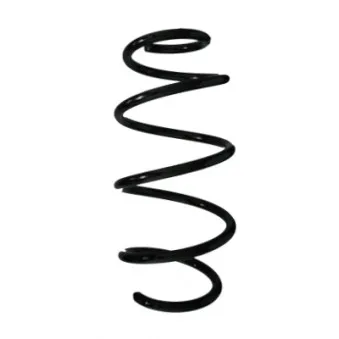 Ressort de suspension SPIDAN OEM 312643