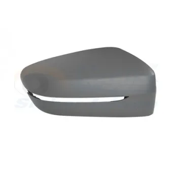Revêtement, rétroviseur extérieur VAN WEZEL 0593844