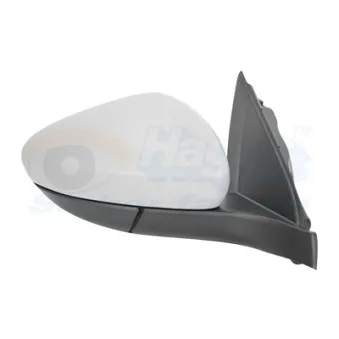 VAN WEZEL 1717808 - Rétroviseur extérieur