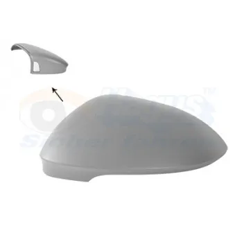 Revêtement, rétroviseur extérieur VAN WEZEL 5711845