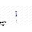 MONROE G1318 - Jeu de 2 amortisseurs arrière