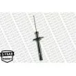 MONROE G16130 - Jeu de 2 Amortisseurs avant