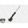 MONROE G16728 - Jeu de 2 Amortisseurs avant