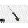 MONROE G16728 - Jeu de 2 Amortisseurs avant