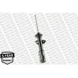 MONROE G16728 - Jeu de 2 Amortisseurs avant
