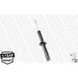MONROE G23940 - Jeu de 2 Amortisseurs avant