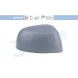 Revêtement, rétroviseur extérieur JOHNS [30 92 38-91]