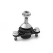 AISIN JBJVL-002 - Rotule de suspension